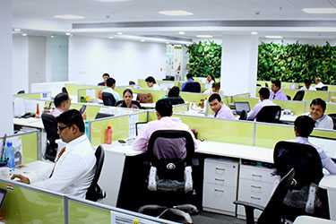 Koye Office